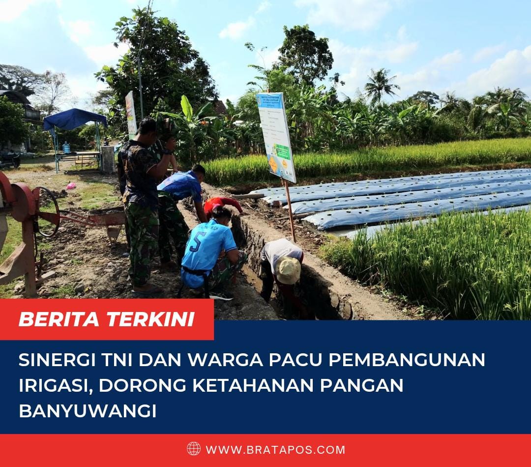 Sinergi TNI dan Warga Pacu Pembangunan Irigasi, Dorong Ketahanan Pangan Banyuwangi