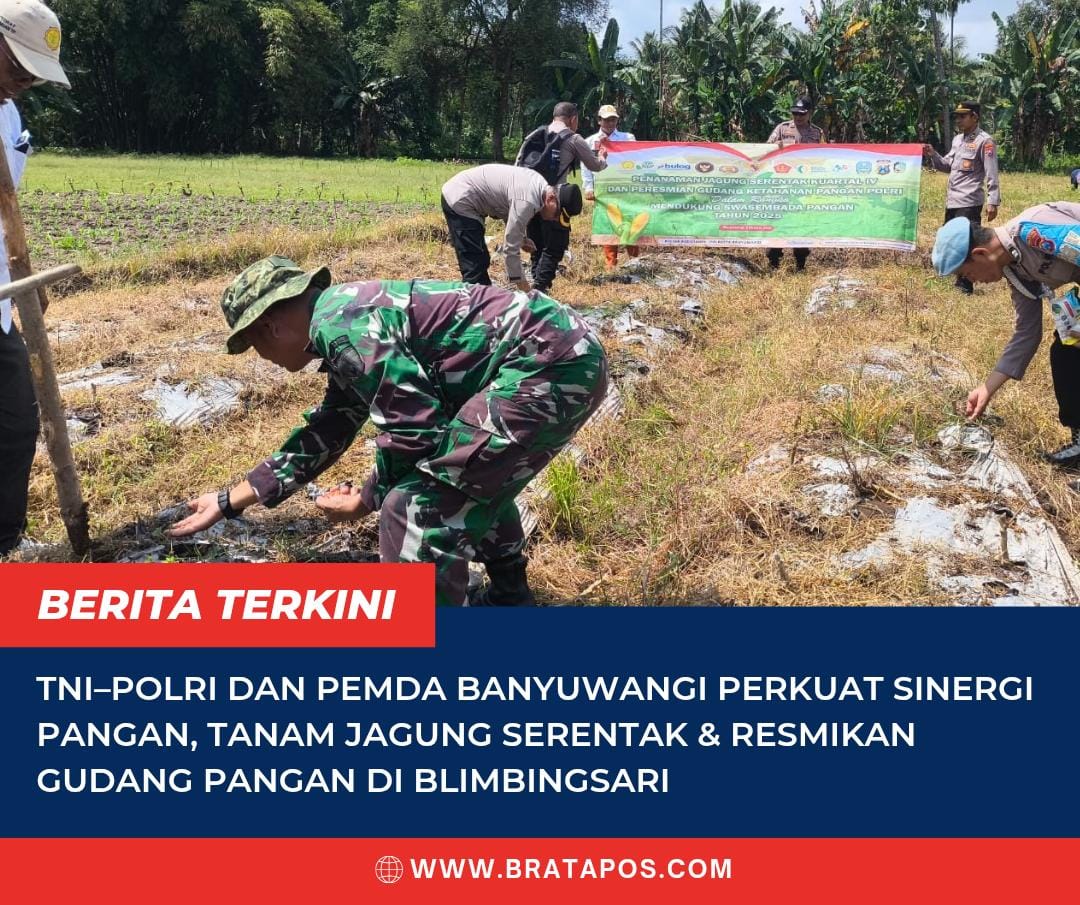 TNI–Polri dan Pemda Banyuwangi Perkuat Sinergi Pangan, Tanam Jagung Serentak & Resmikan Gudang Pangan di Blimbingsari
