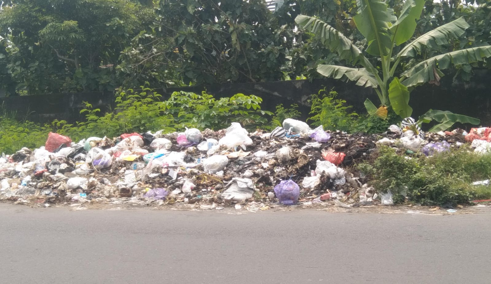Tumpukan Sampah Cemari Jalan Sekitar Desa Sambirejo Madiun, Warga dan Pemdes Desak Solusi Konkret