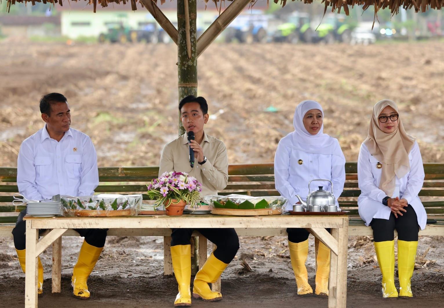 Wapres Gibran Puji Banyuwangi: Kotanya Bersih, Potensi Wisatanya Luar Biasa